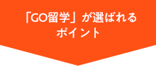 「GO留学」が選ばれるポイント